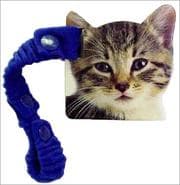 Tapa de Kitten Stroller Book