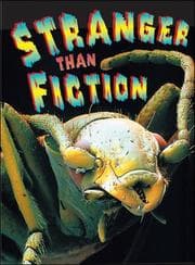 Tapa de Stranger than fiction
