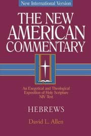Tapa de Hebrews (New American Commentary Studies in Bible and Theology)