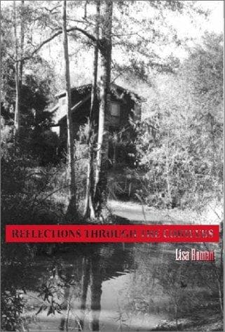 Tapa de Reflections Through the Cobwebs