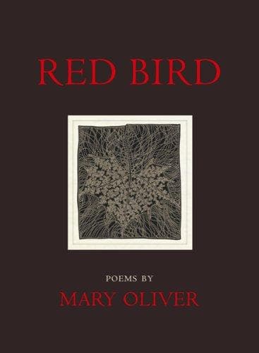 Tapa de Red bird
