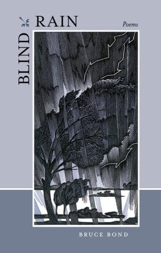 Tapa de Blind Rain