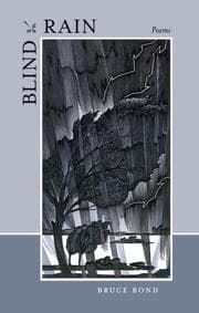 Tapa de Blind Rain