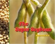 Tapa de The Super Soybean