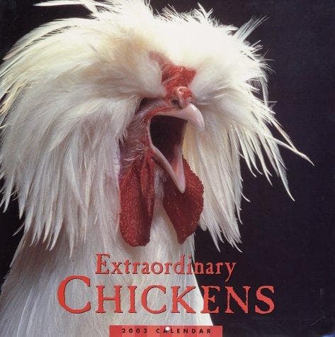 Tapa de Extraordinary Chickens 2003 Wall Calendar