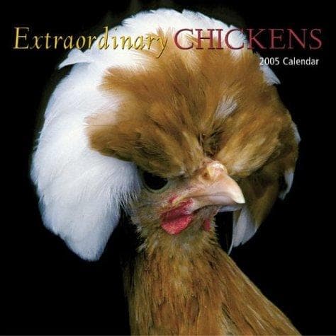 Tapa de Extraordinary Chickens 2005 Wall Calendar