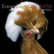 Tapa de Extraordinary Chickens 2005 Wall Calendar