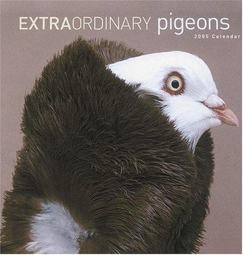 Tapa de Extraordinary Pigeons 2005 Wall Calendar