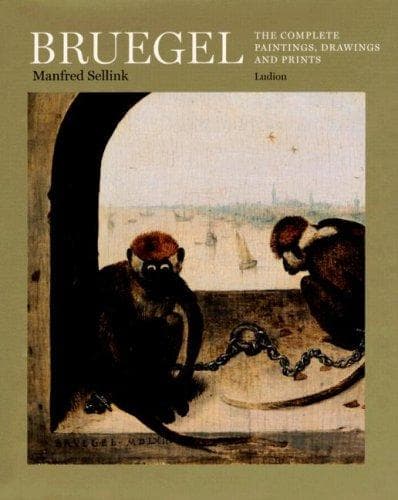 Tapa de Bruegel