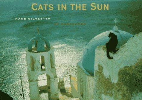 Tapa de Cats in the Sun Postcard Book