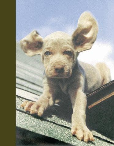 Tapa de Wegman's Flying Dumbo Journal