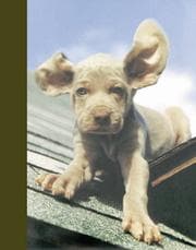 Tapa de Wegman's Flying Dumbo Journal