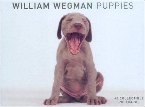 Tapa de Puppies Postcard Box