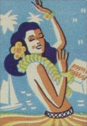 Tapa de Hula Honeys Address Book