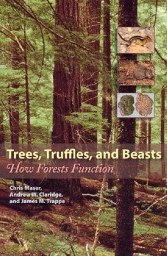 Tapa de Trees, truffles, and beasts