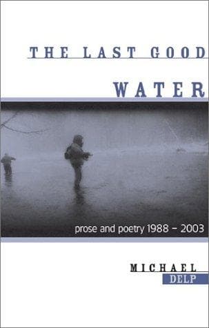 Tapa de The last good water