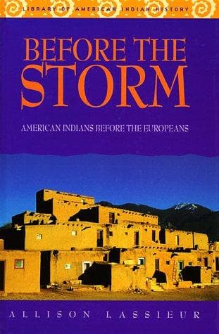 Tapa de Before the storm
