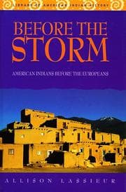 Tapa de Before the storm