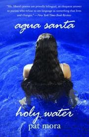 Tapa de Agua Santa/Holy Water (Camino Del Sol)