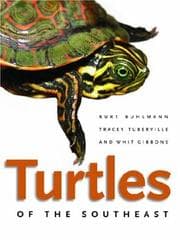 Tapa de Turtles of the southeast