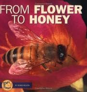 Tapa de From Flower to Honey (Start to Finish)