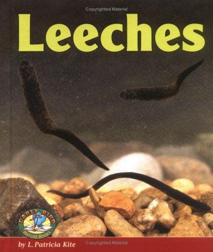 Tapa de Leeches