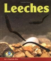 Tapa de Leeches