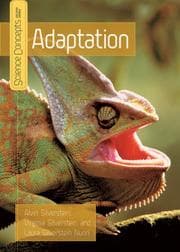 Tapa de Adaptation