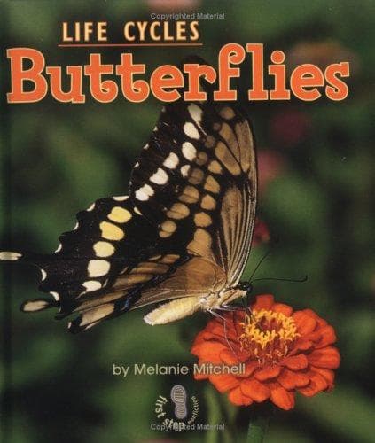 Tapa de Butterflies