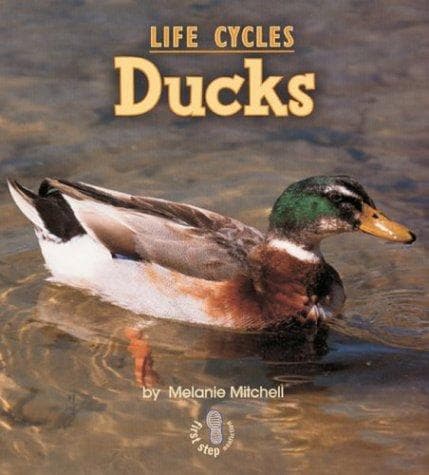 Tapa de Ducks (First Step Nonfiction)