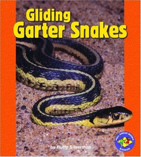 Tapa de Gliding garter snakes
