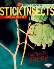 Tapa de Stick Insects