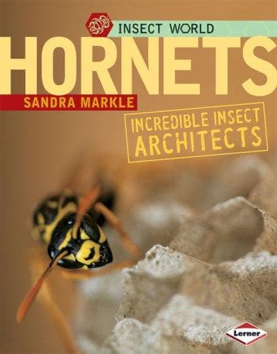Tapa de Hornets