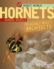 Tapa de Hornets