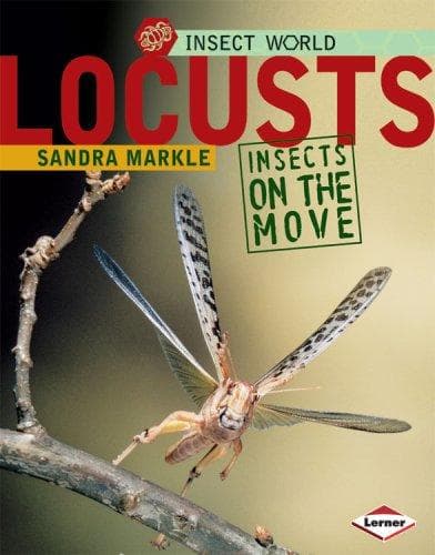 Tapa de Locusts