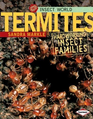 Tapa de Termites