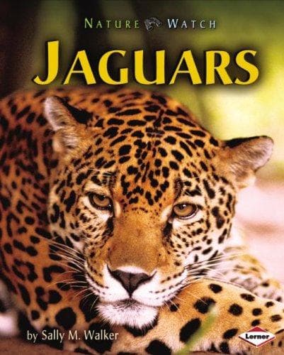 Tapa de Jaguars