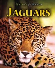 Tapa de Jaguars
