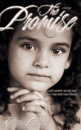 Tapa de The Promise