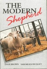 Tapa de The modern shepherd