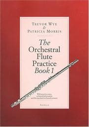 Tapa de The orchestral flute practice book