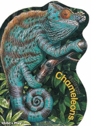Tapa de Chameleons (Misunderstood)