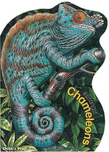 Tapa de Chameleons (Misunderstood)