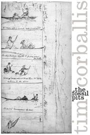 Tapa de The Fossil Pits