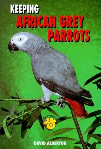 Tapa de Keeping African Grey Parrots