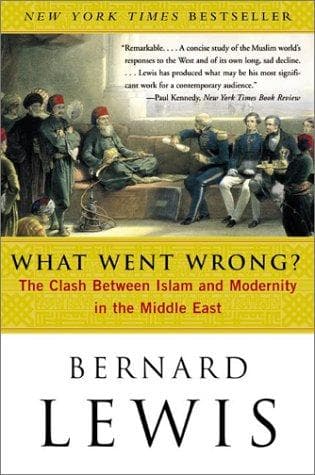 Tapa de What Went Wrong?