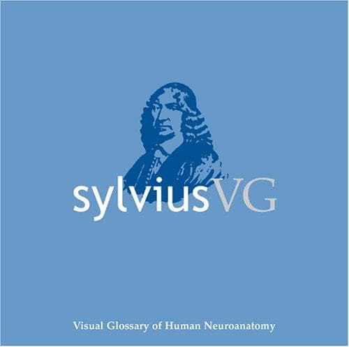 Tapa de Sylvius VG