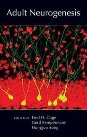 Tapa de Adult neurogenesis
