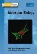 Tapa de Instant Notes in Molecular Biology (Bios Instant Notes)