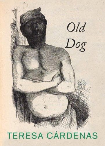 Tapa de Perro viejo